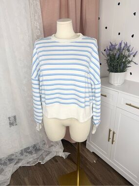 Aerie Casual White & Light Blue Striped Long Sleeve Top BIN#20